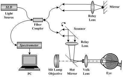 Fig 1.JPG